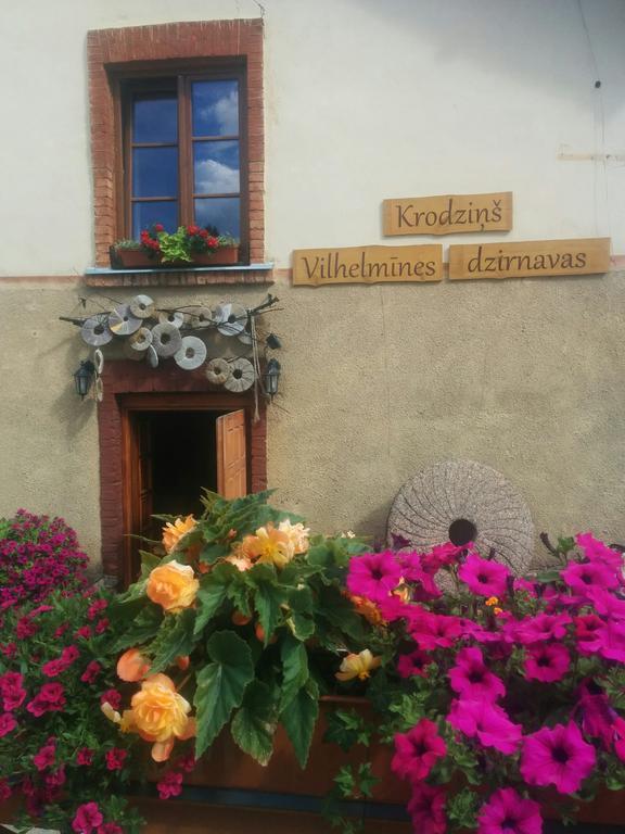 Viesu Nams Vilhelmine Otel Līgatne Dış mekan fotoğraf